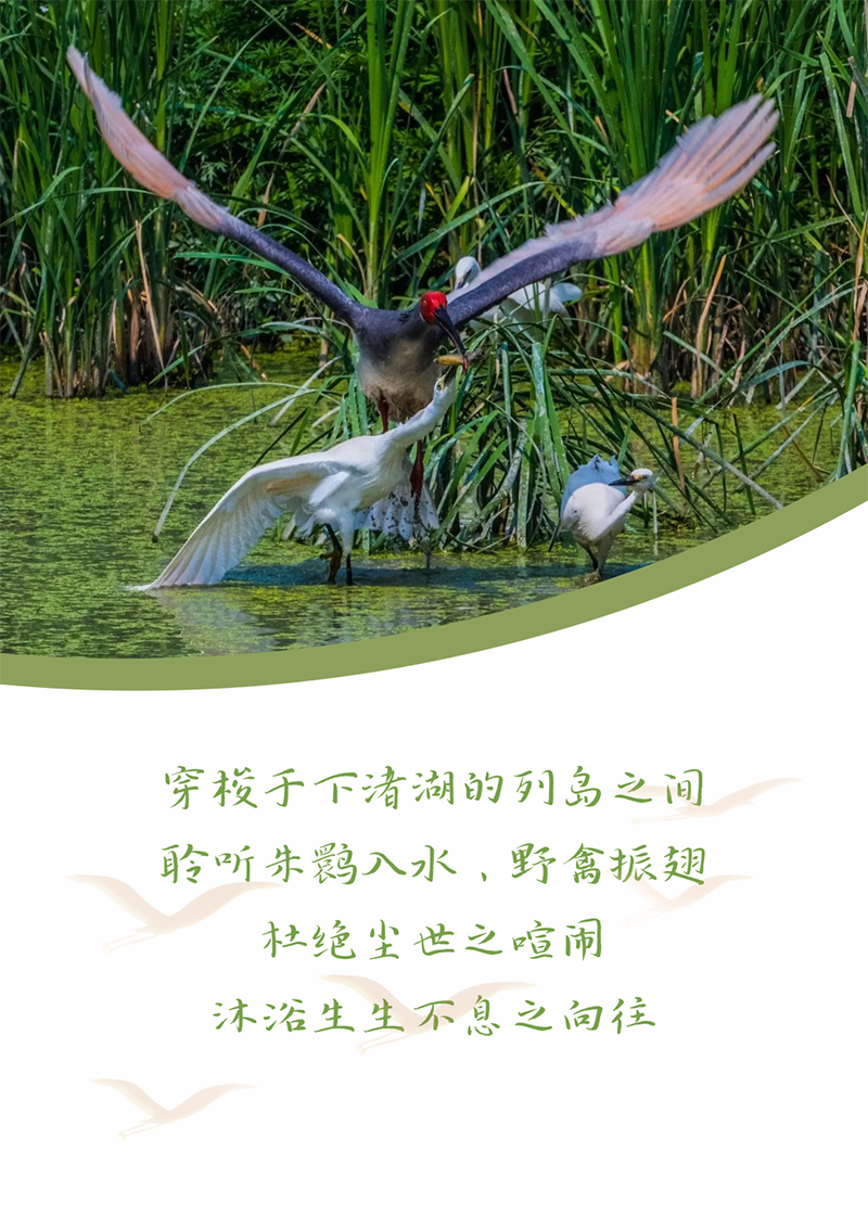 心心念廿 相伴壹定发 | 与德清相约 贺廿载诞辰